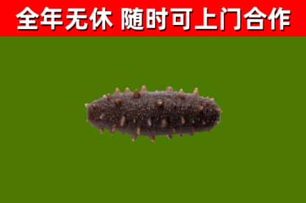 崆峒烟酒回收干海参.jpg